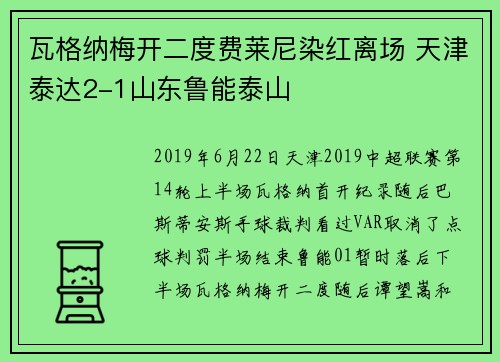 瓦格纳梅开二度费莱尼染红离场 天津泰达2-1山东鲁能泰山