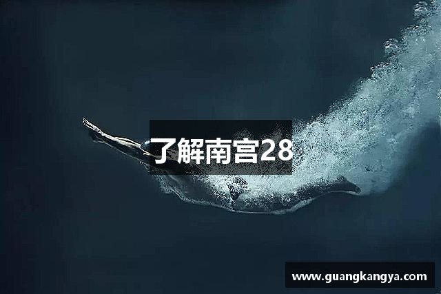 了解南宫28